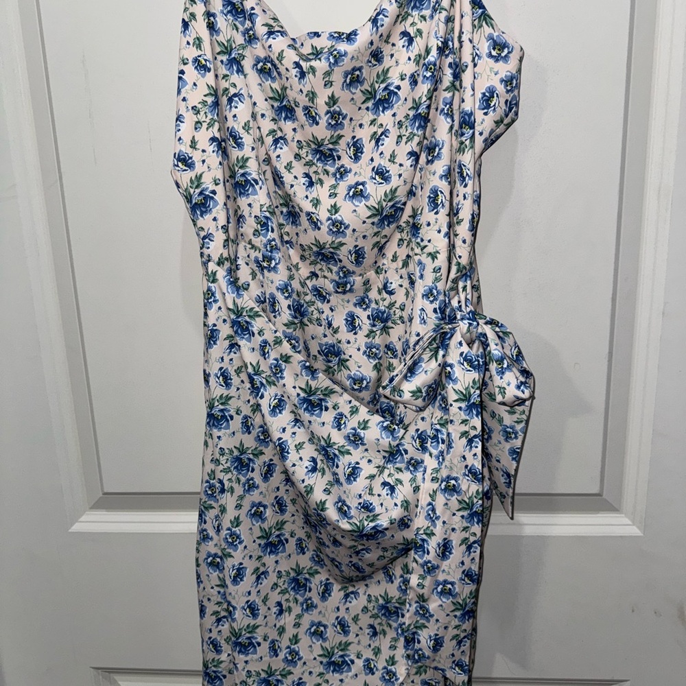Floral Blue and White Dress